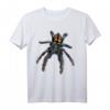 Venezolanische Tarantelspinne, Sonne Tiger (P. Irminia) T-Shirt – Gruselige Gothic-Inspirierte Spinnen Grafik für Festivals, Halloween & dunkle Kunstfans