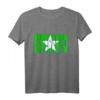 Mit Esperanto eine leichte Sprache lernen ohne Wörterbuch T-Shirt – Für Anfänger, Sprachliebhaber und Weltenbummler