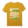 Niemand ist perfekt aber als Rapidler nah dran Geschenk T-Shirt - Humorvolles Fußballshirt für Fans, Ultras und Freunde von Rapid Wien